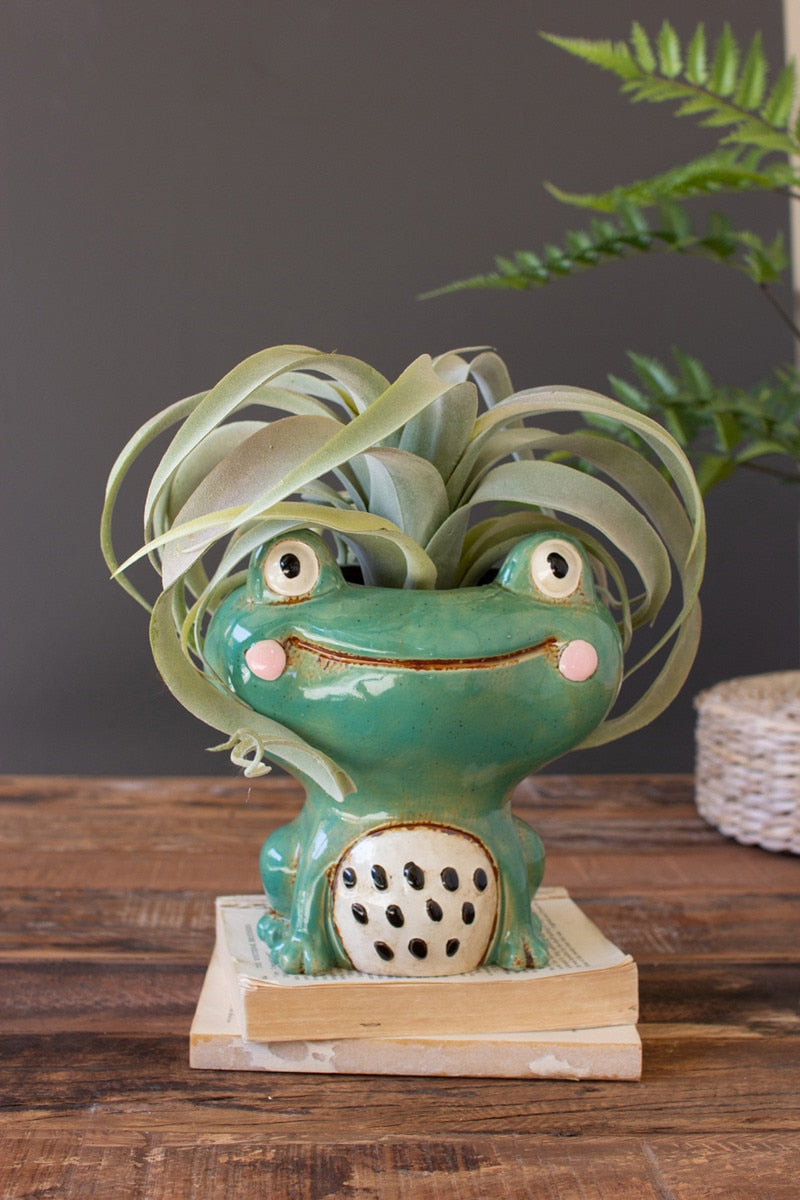planter, frog decor