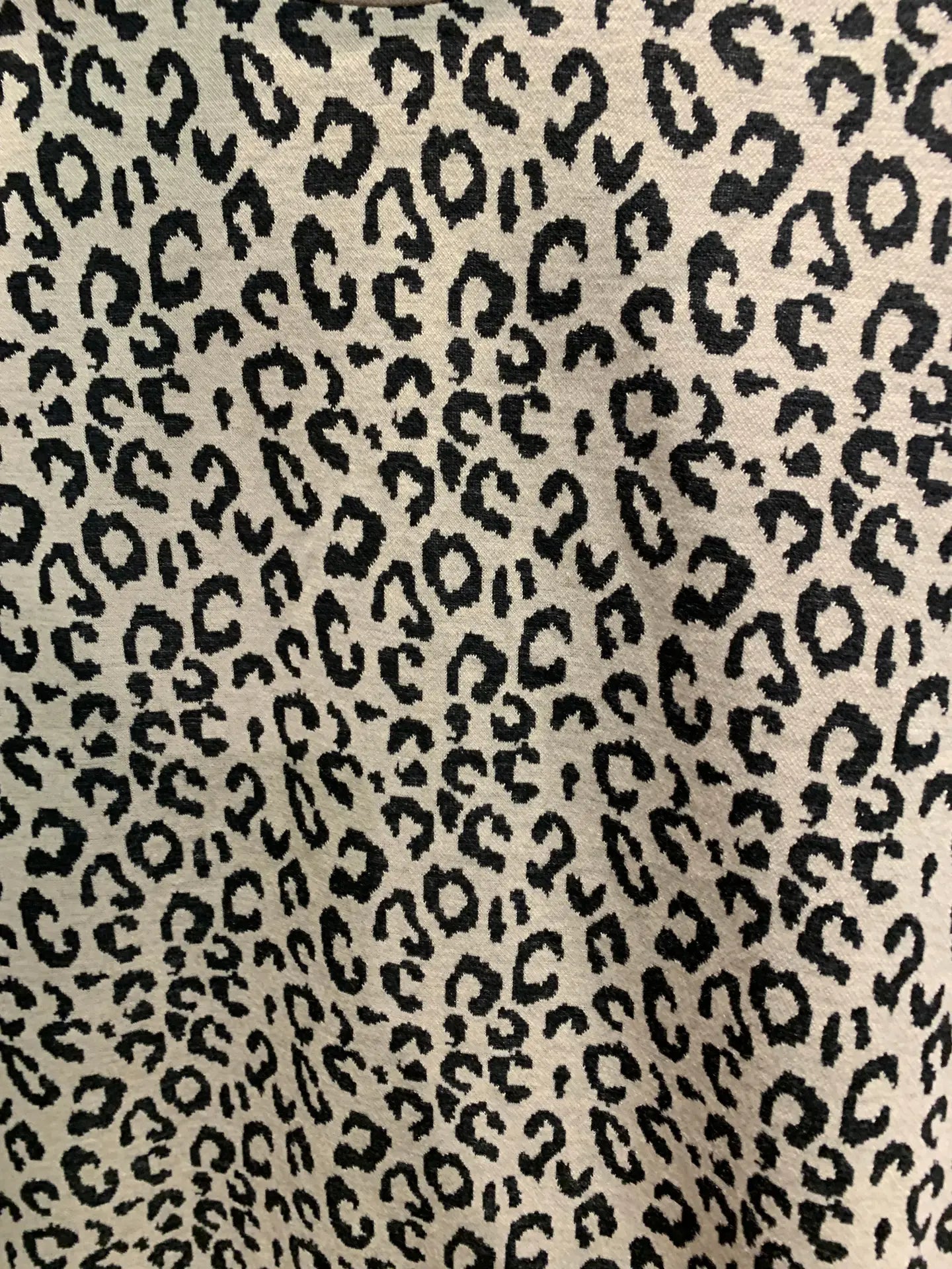 Fearless Leopard Lounge Set