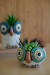 Ceramic Owl Planters