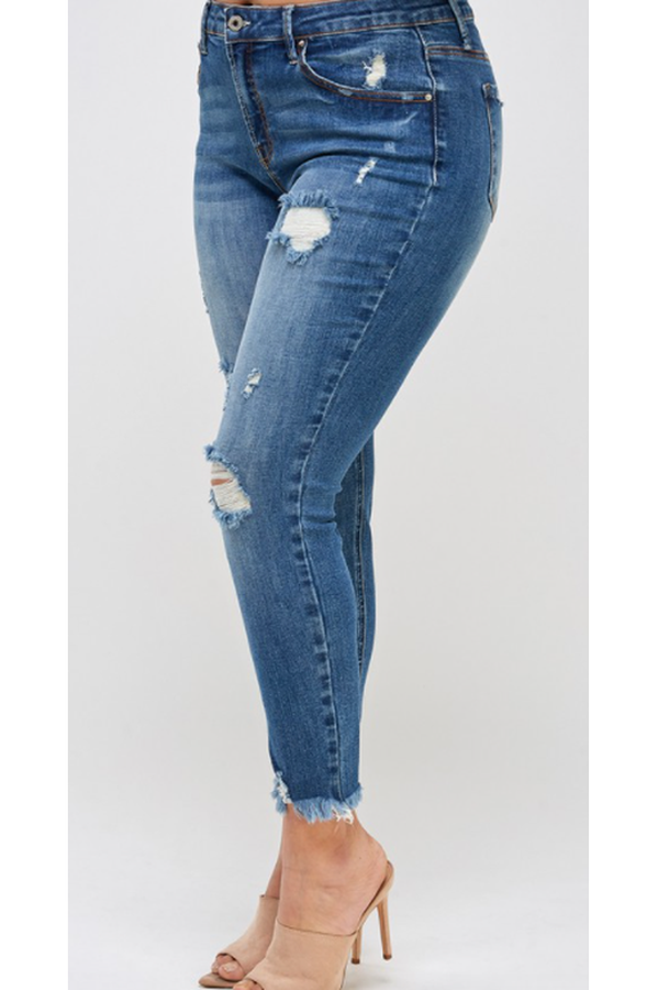 Joplin Skinny Ankle Jeans Curvy